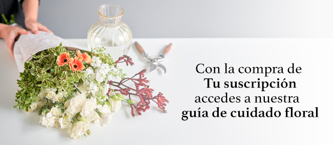 Guía de Cuidado Floral